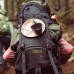 Кружка-миска Wildo Kasa Army White