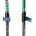Палки треккинговые Masters DOLOMITI GT Light Pro Calu Tech
