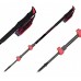 Палки треккинговые Masters EIGER HP ENTHUSIAST TRECKING
