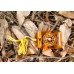 Компас AceCamp Mini Multi Compass