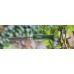 Нож Opinel №8 Trekking нержавеющая сталь, кожаный темляк хаки