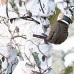 Костюм Alaska Elk Blind Max Snow Camo HD