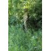 Костюм Keotica Тактика-2 рип-стоп multicam