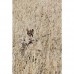 Костюм Jahtijakt Archie light Reed Camo