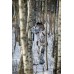 Костюм JahtiJakt Valle Padded Hunting Snow Camo