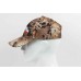 Кепка Remington North Wolf Yellow Waterfowl Honeycombs