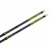 Лыжи Fischer Carbonlite Skate Plus Medium IFP N11519