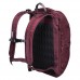 Рюкзак Victorinox Altmont Active Everyday Laptop 13&#39;&#39; бордовый