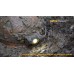 Фонарь Fenix HP12 Cree XM-L2