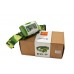Фонарь налобный Ergate Wali Olive Green